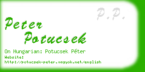 peter potucsek business card